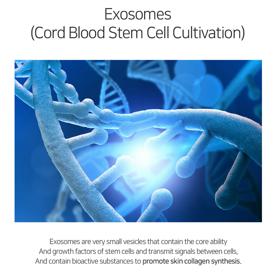 Matrigen Lipo Exosome Cellular Complex