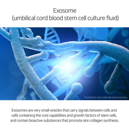 Matrigen Lipo Exosome B-Archive Complex