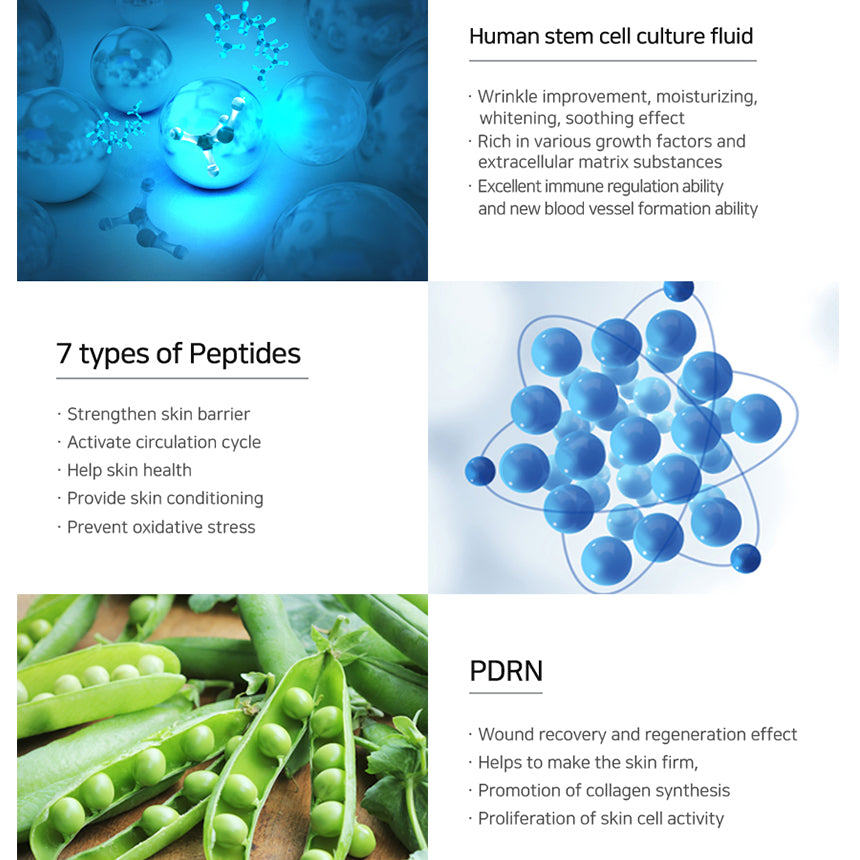 Matrigen Lipo Exosome B-Archive Complex